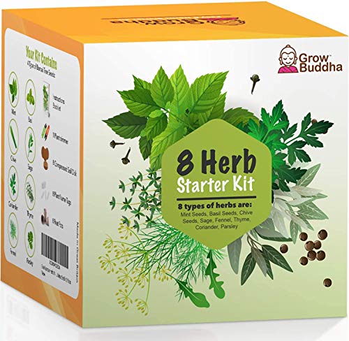 Cultive su propio kit de jardinería - Cultive fácilmente sus propias plantas con nuestro completo kit de inicio de semillas para principiantes - Idea de regalo única (Kit de 8 hierbas)