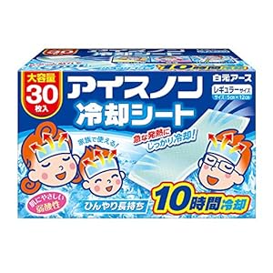 アイスノン 冷却シート レギュラーサイズ 30枚入