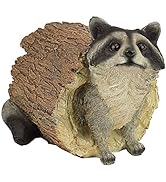 Design Toscano QM24625001 Bandit the Raccoon Garden Animal Statue, 10 Inch, Polyresin, Full Color...