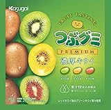 春日井製菓 つぶグミPREMIUM 濃厚キウイ 75g×10個