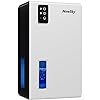 NineSky Dehumidifier for Home, 95 OZ Water Tank, (1000 sq.ft) Dehumidifiers for Bathroom Bedroom Basement with Auto Shut Off,7 Colors LED Light(White)