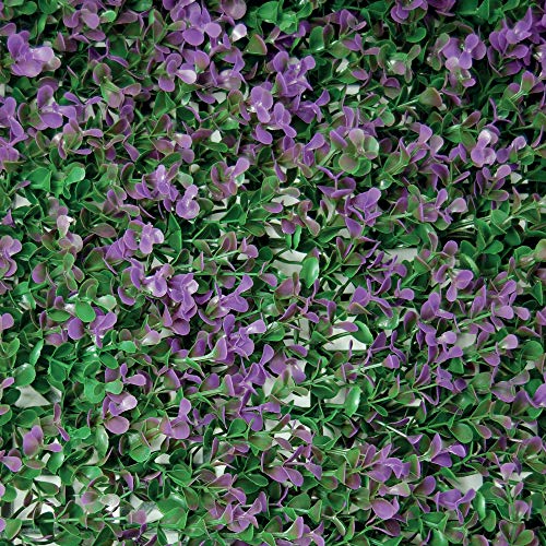 Tenax - Seto sintético de Paneles para Pared de jardín Vertical, Tipo Bosso, Divy 3D Panel Buxus Lilac 0,50 x 1 m, Modular para decoración y blindaje, Verde y Lila, 0,50 x 1 m