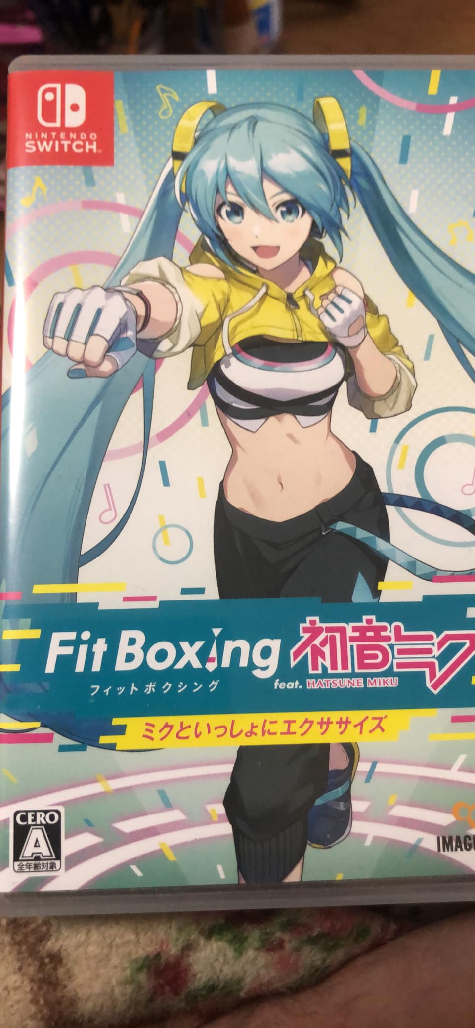 A good Fit Boxing game.