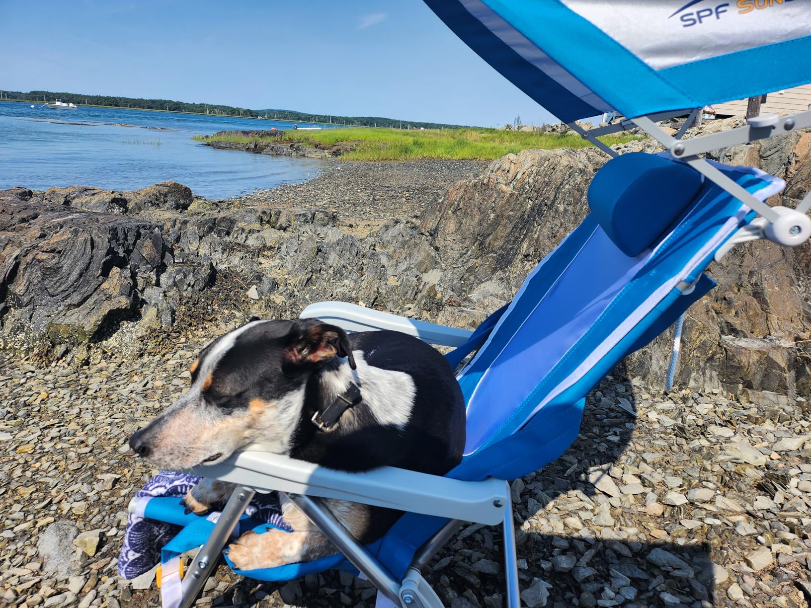 Great beach chairs!