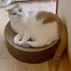猫　猫壱　バリバリパッド