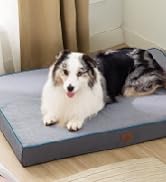 Bedsure Orthopedic Dog Bed for Extra Large Dogs - XL Memory Foam , 2-Layer Thick Pet Bed with Rem...