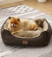 Bedsure Dog Beds for Small Dogs - Cat Beds for Indoor Cats, Rectangle Cuddle Small Dog Bed Washab...