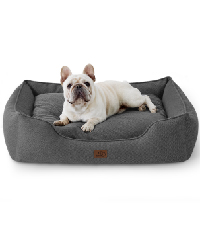 dog bed