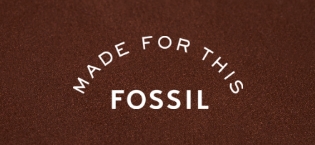 Fossil Brand Story