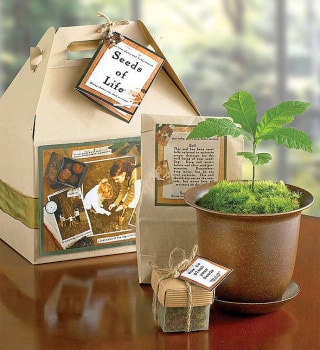 1-800-Flowers Seeds of Life Tree Kit