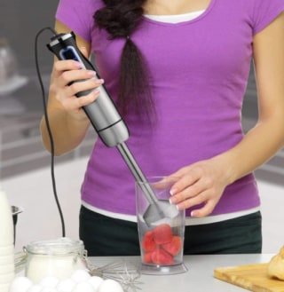 Austria 9-Speed Immersion Hand Blender