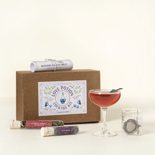 Love Potion Cocktail Kit - Color-Changing Love Potion Cocktail Kit