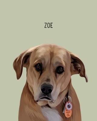 Custom One Pet Portrait