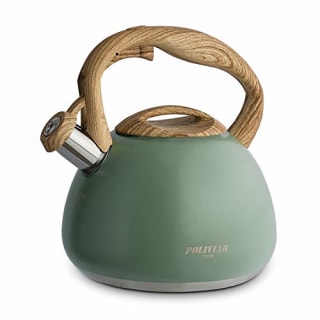 Stainless Steel Tea Kettle