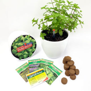 Kitchen Herb Kit