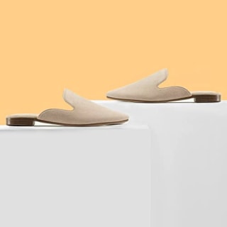 Pointed Toe Mules