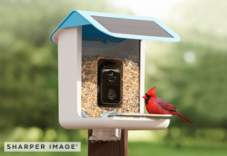 Video Camera Bird Feeder by Sharper Image