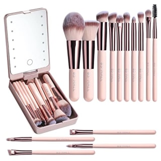 Travel Makeup Brush Set with LED light Mirror (Set of 14)