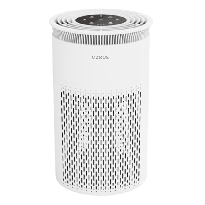 Air Purifier for Large Rooms