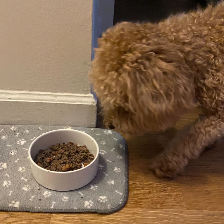 Brown dog eating fresh dog food from a white bowl.