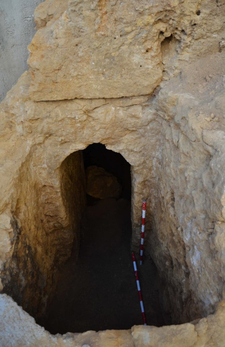 An urn containing what is believed to be the oldest liquid wine in the world was discovered in a tomb in southern Spain.