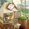 1-800-Flowers Seeds of Life Tree Kit