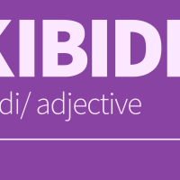 Graphic with the word "skidbidi"