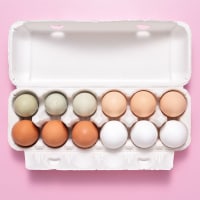 carton of eggs on pink background.