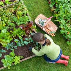 Here are the best raised garden beds to plant a garden almost anywhere. Shop raised garden beds from Home Depot, Amazon, Walmart and more.