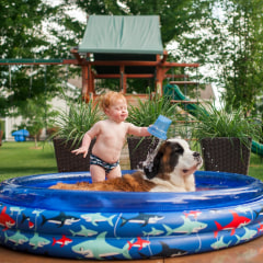 Shirtless baby boy pouring water on dog while standing in wading pool at yard