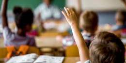 Back view of elementary student raising his hand on a class.