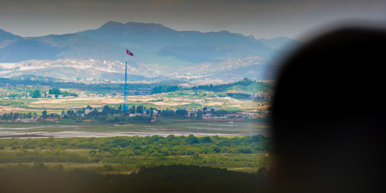 A visitor observes the Korean border at an observatory