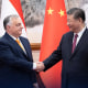 Victor Orban In China