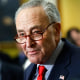 chuck schumer politics political politician