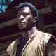 John Amos in 'Roots'