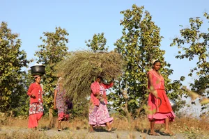 Photo by Suresh K Pandey/Outlook : Tribal women in Dang on November 18, 2022 (representative image)