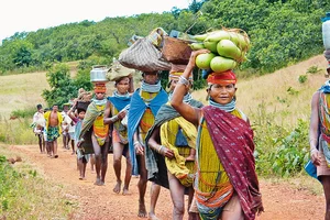 Photo: Shutterstock : A Threatened World: Ninety per cent Adivasis still live in villages. 
Their livelihood depends on farming 
and forest produce.