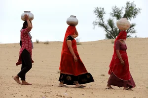 SURESH K PANDEY : Women carrying  water in Bikaner, Rajasthan.