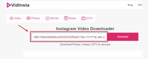 Use Vidinsta.app To Download Instagram Videos