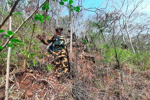 PTI/File : A total of 8 Naxals were gunned down in the encounter