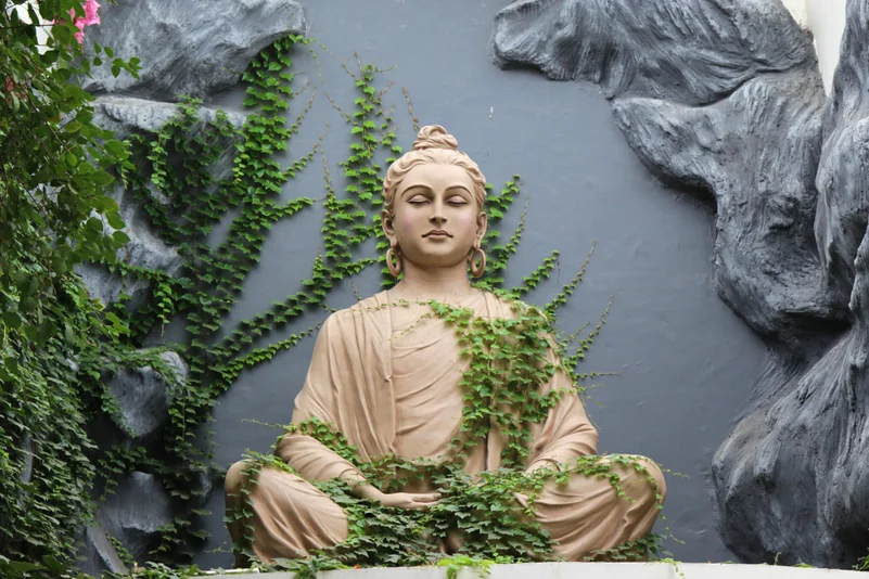 A serene Buddha statue amidst lush garden plants, radiating tranquility and harmony.