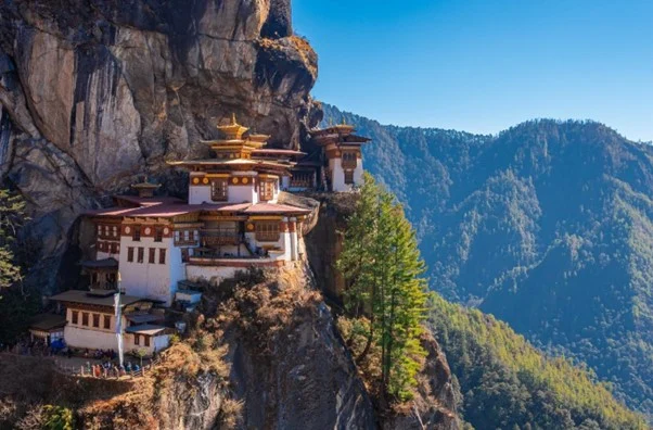Visit the iconic Birds Nest Monastery, also known as Rumtek Monastery in Bhutan.