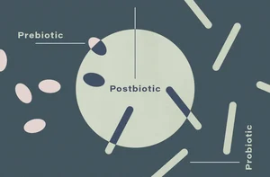 What Are Postbiotics?