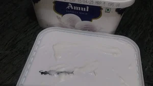 Video Screengrab/X : Noida Woman Alleges She Found Centipede Inside Amul Ice Cream |