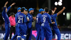 (AP Photo/Ramon Espinosa) : Afghanistan players celebrate the dismissal of Australia's Tim David during the men's T20 World Cup cricket match between Afghanistan and Australia at Arnos Vale Ground, Kingstown, Saint Vincent and the Grenadines, Saturday, June 22, 2024. 
