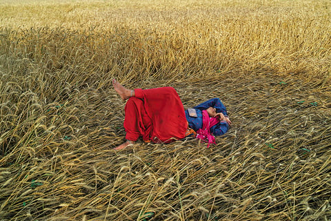 Enduring Resiliance: A Dalit woman farmer takes a nap under a tree during a heat wave