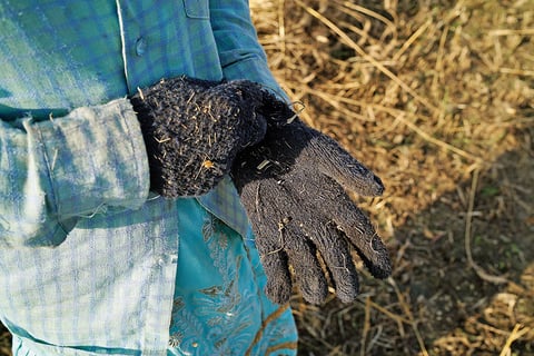 Women are forced to wear winter gloves as protective gear as the temperature soars