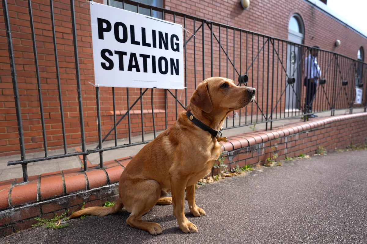 The pet patiently waits for its parents to cast their votes.