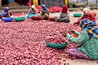 | Photo: PTI : Vegetable market in Karnataka