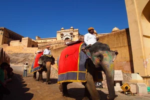 PETA Has Designed An Electric Chariot To Replace Elephant Ride At Amer Fort